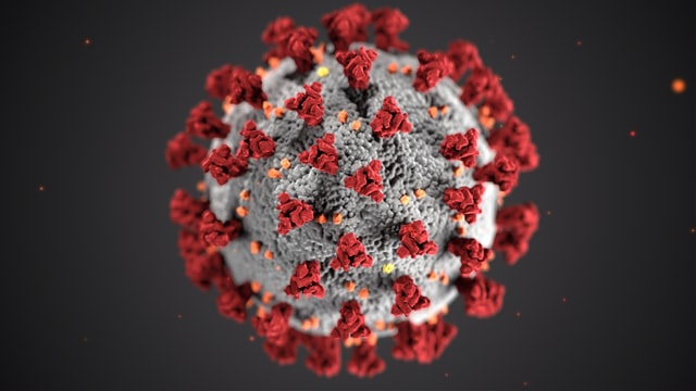Change in our operations due to Covid19 Pandemic