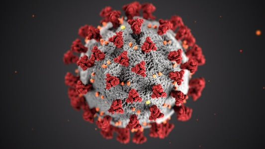 Change in our operations due to Covid19 Pandemic