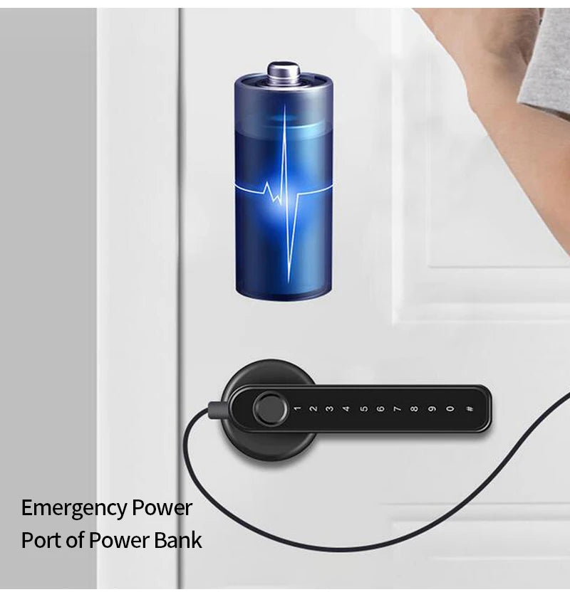 Smart Door Lock Handle With Fingerprint Key card Digital Door Lock Keypad Key Entry electronic lock Mobile APP Control